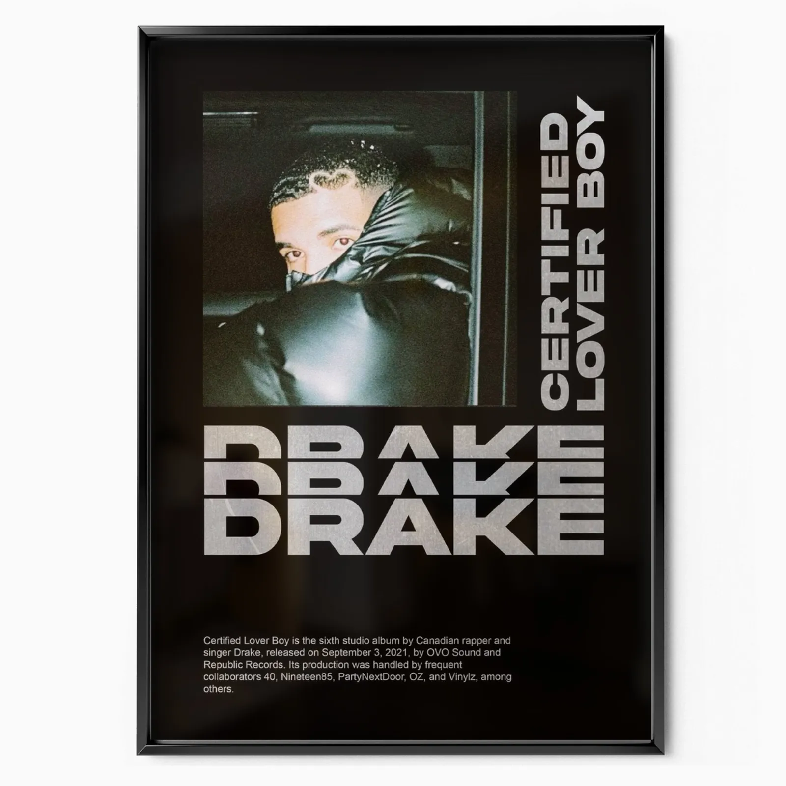 Drake poster, museum grade matte print