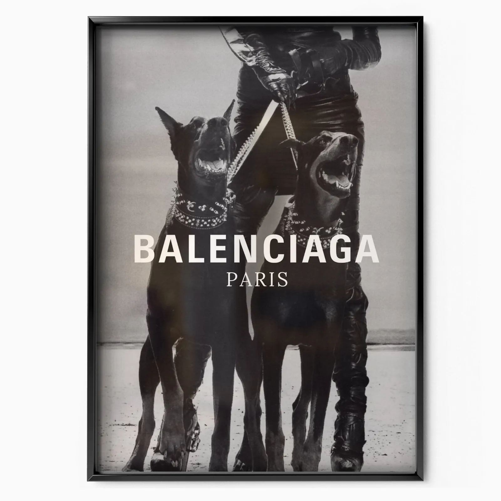 Balenciaga Dogs poster