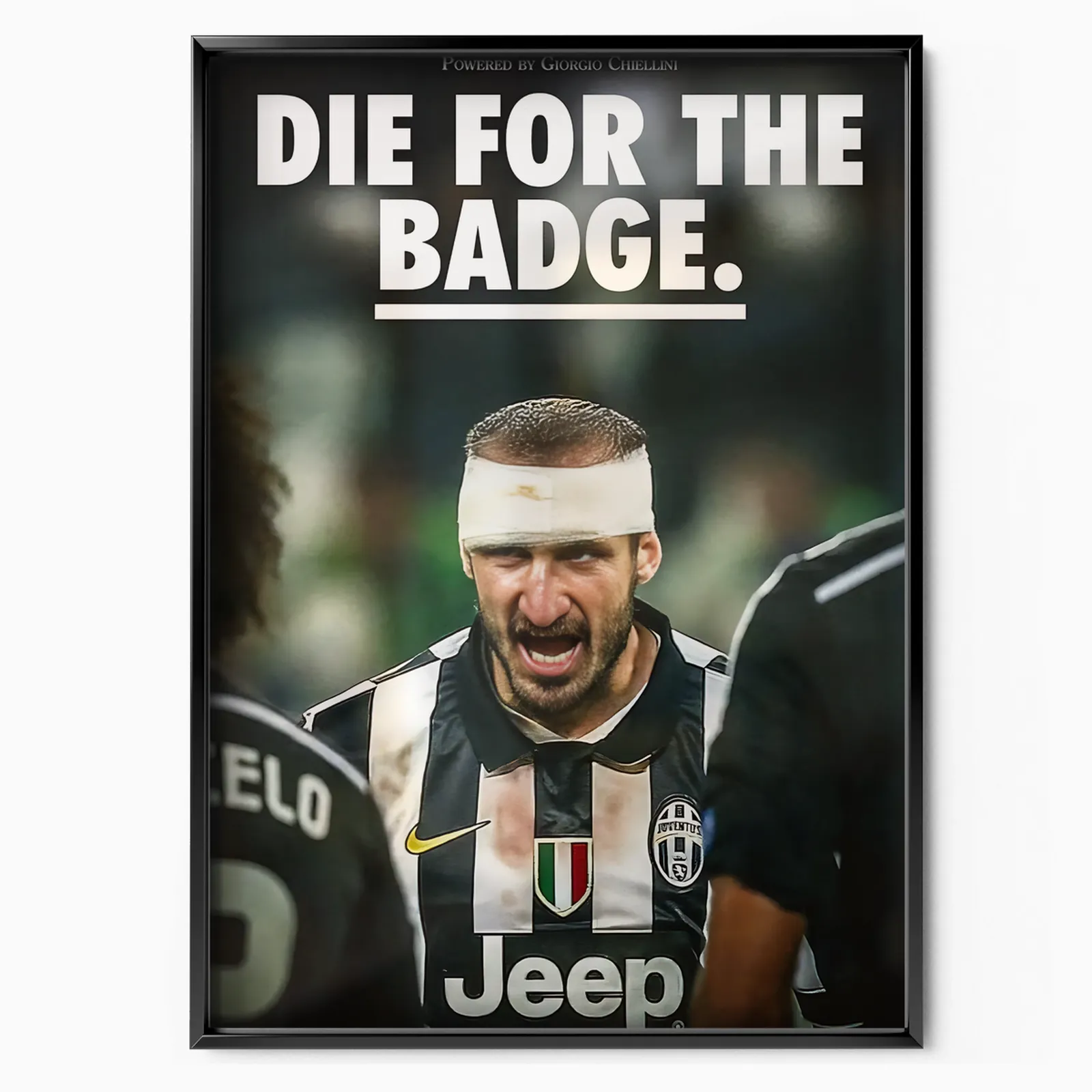 Football Icon poster, museum grade matte print