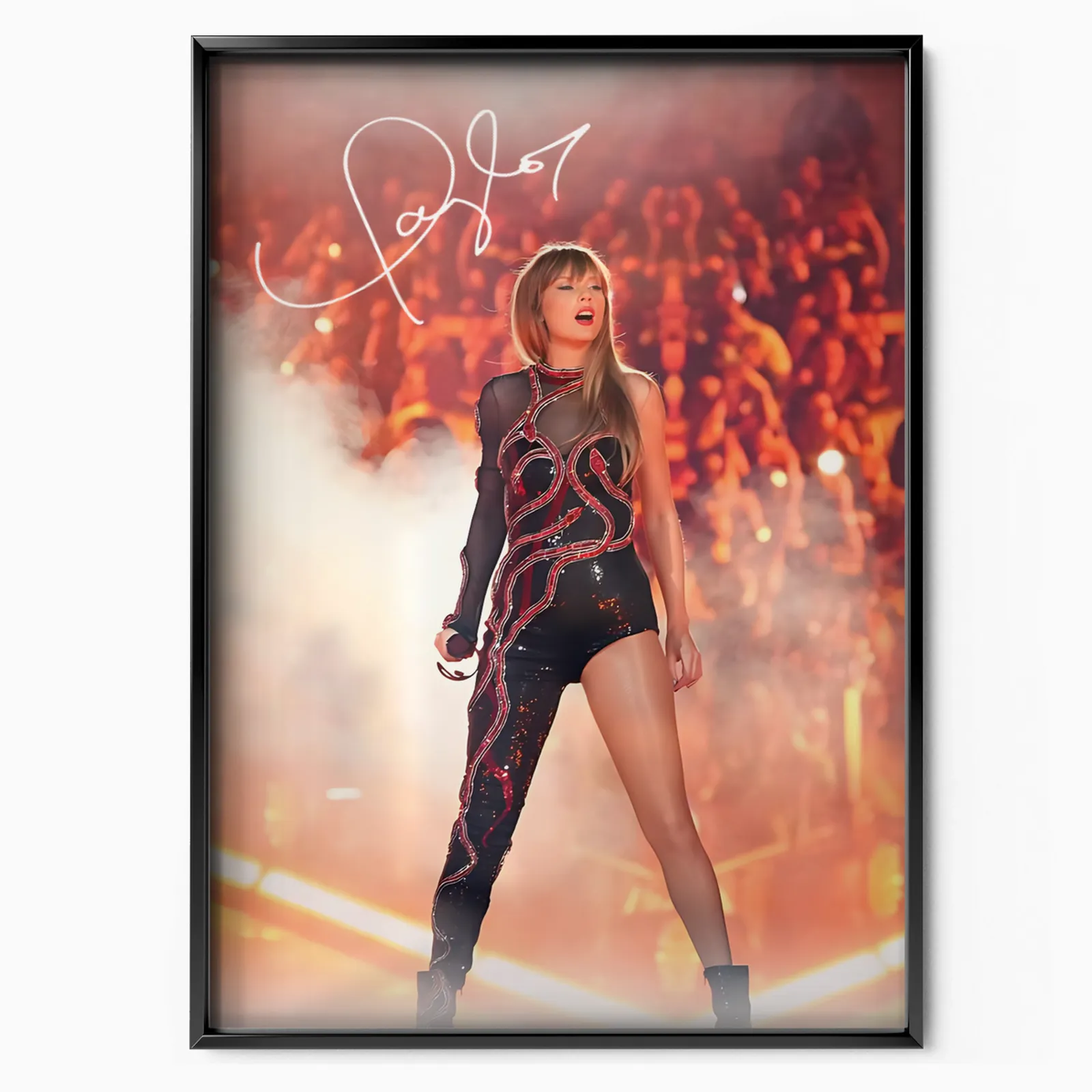 Taylor Swift Concert poster