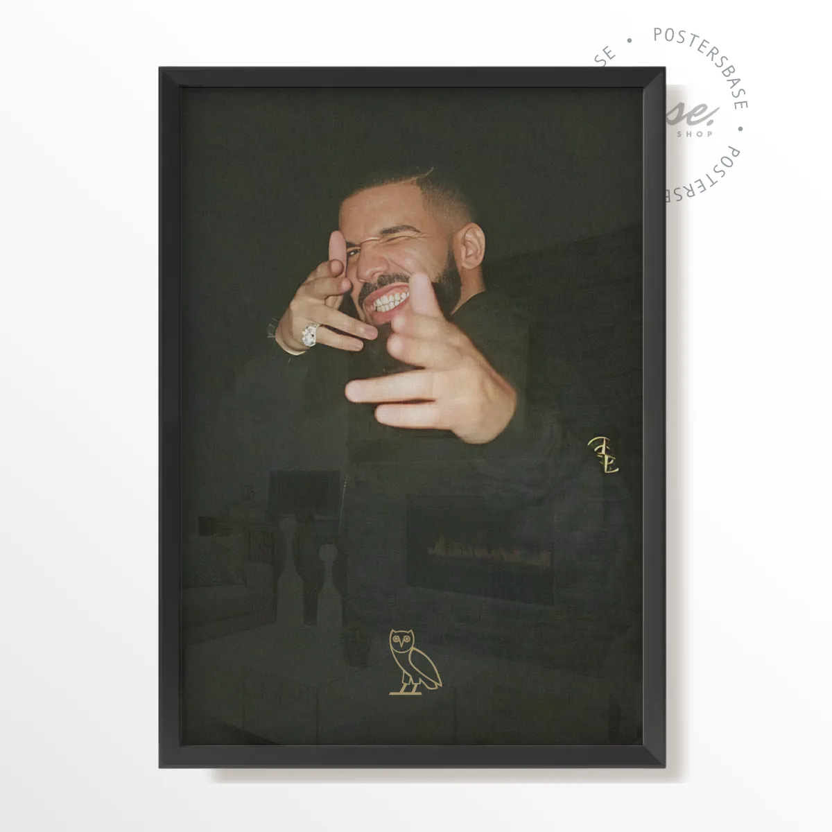 Drake OVO poster, museum grade matte print