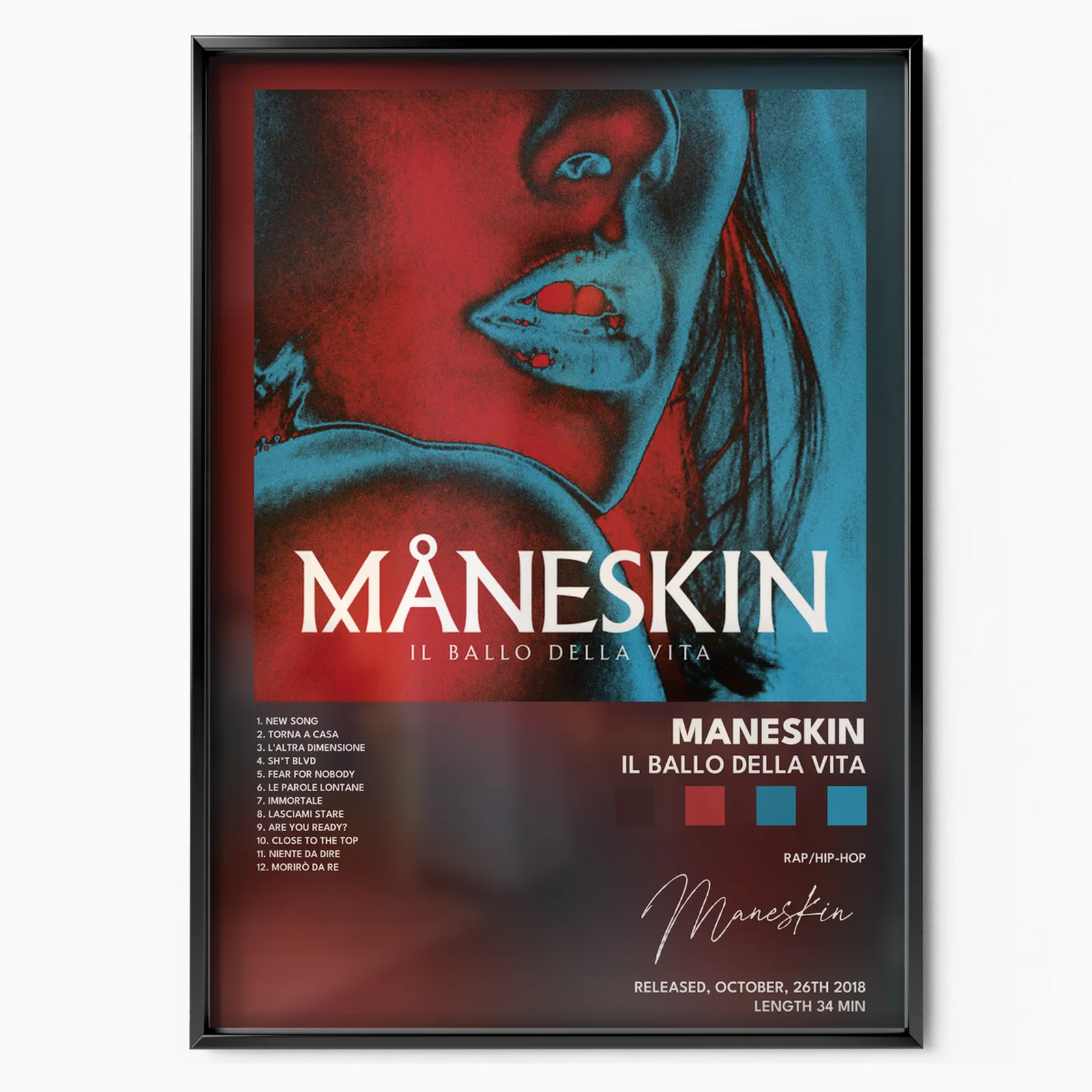 Il ballo della vita poster